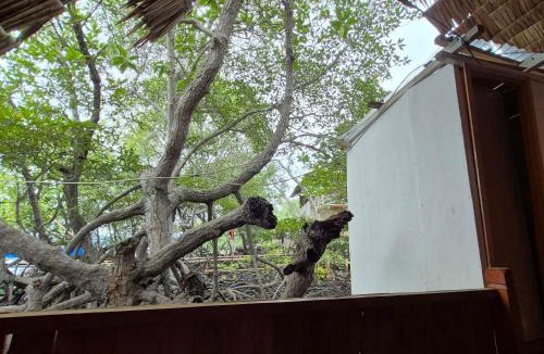 Rajabasa Villa | Villa Mangrove Pulau Pahawang