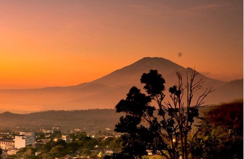 Ambarawa Villa | Villa Okayo
