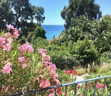 Le Rayol Villa | Villa Olivea