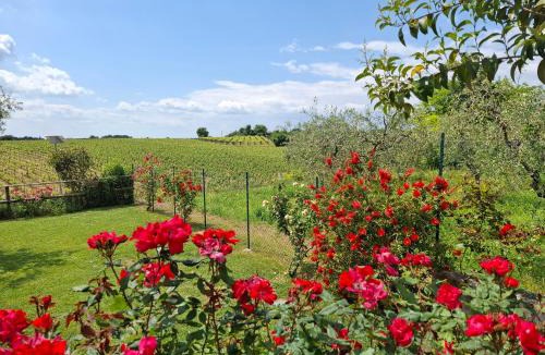 Montioni House | Villa Poggio Bardolino