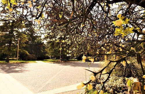 Arco Apartment | Villa Principessa Deluxe