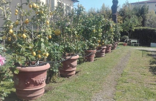 Torre del Lago Puccini House | Villa Ricordi-Casa Turandot