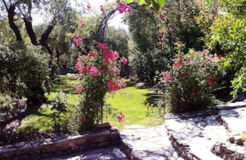 Chateauneuf-Grasse Villa | Villa & Spa Mas des Oliviers: Heated swimming pool, Jacuzzi, Sauna, steam room