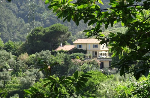 Carrara Villa | Villa surrounded by vines with swimming-pool and panoramic views