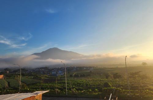 Sidomulyo Villa | Villa Syariah Tripel Z Temas