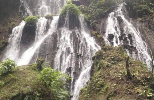 Klojen Bed & Breakfast | villas in batu indonesia homestay
