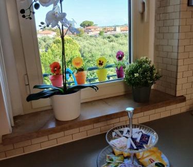 Querceta Apartment | Voglia di mare Versilia
