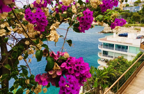 Lazaret Apartment | Waterfront 4BR apartment with breathtaking views and direct access to the sea