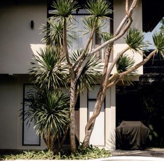 Berawa Resort | Wave House Boutique Surf Hotel - Adults Only