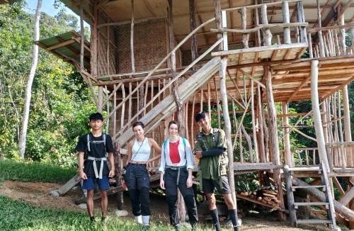 Bukit Lawang House | WOOD CABIN LODGE IN THE FOREST book here treking with us