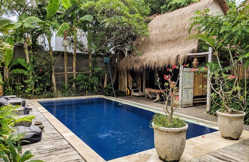 Denpasar Barat House | WOODEN HOUSE WITH GARDEN VIEW4