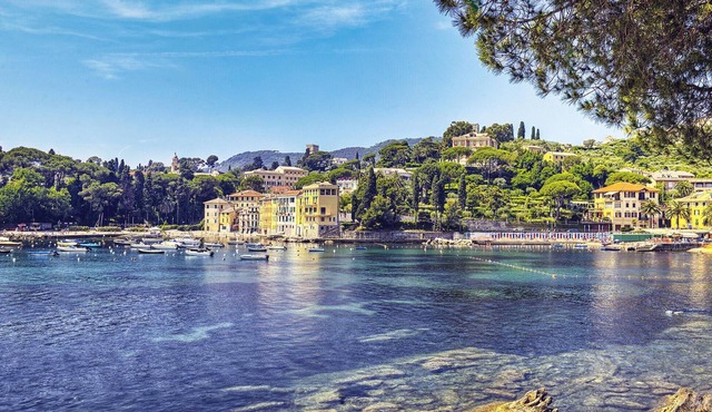 1 bedroom amazing apartment in Santa Margherita