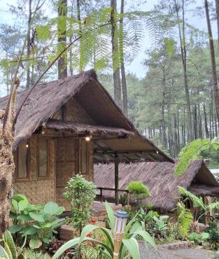 ALAMSUKA Cikole