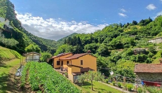 Amazing home in Fabbriche di Vallico with WiFi