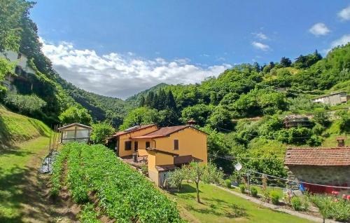 Amazing Home In Fabbriche Di Vallico With Wifi