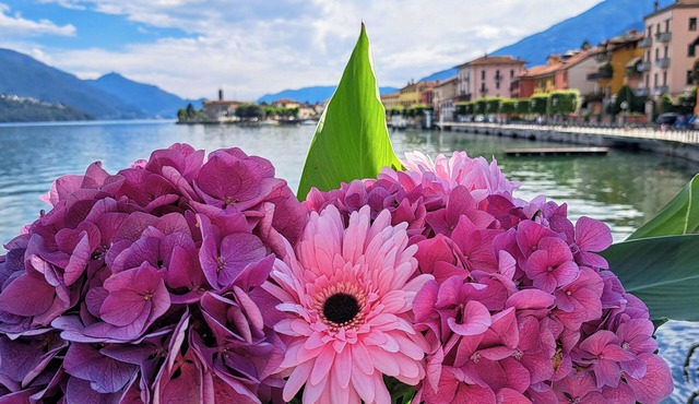 Among the colors of Alto Lario