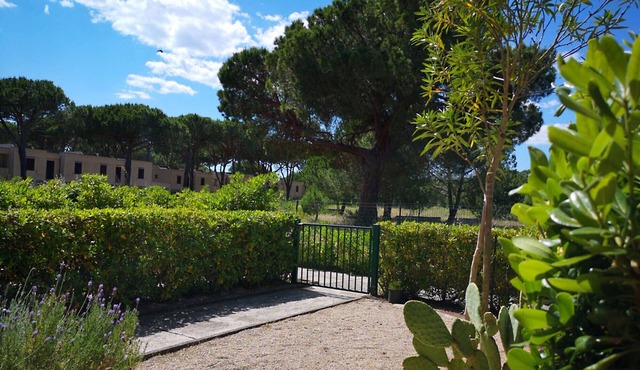 Apartment Bruno at Principina a Mare