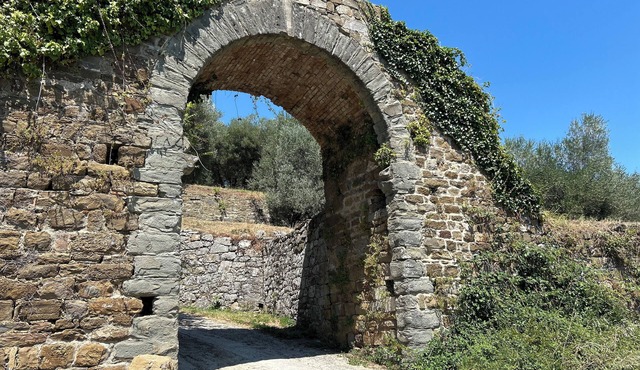 Apartment with a view in montalcino