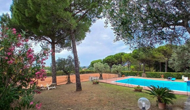 Beautiful apartment in Montescudaio with WiFi