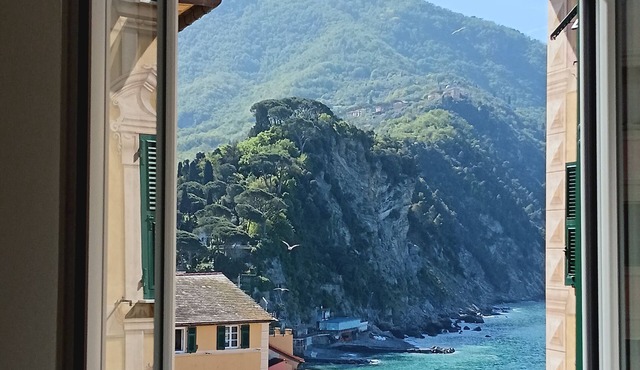 Camogli. Cozy apartment only 5 minutes from the sea