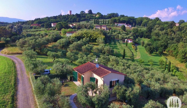 Casa Montecarlo Ulivo - Holiday apartment surrounded by olive groves