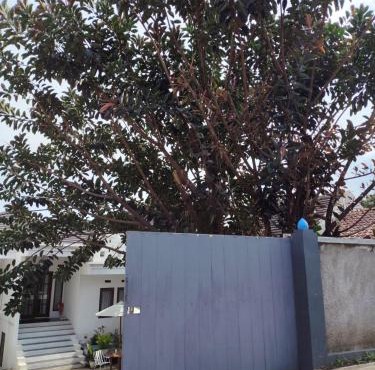 Dinasty Living Villa