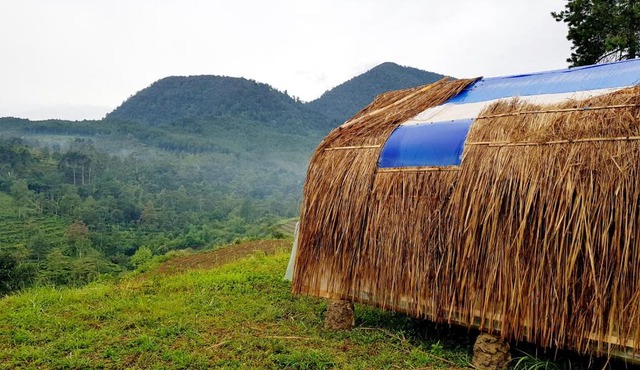 Glamping di Jungle, Ciwidey