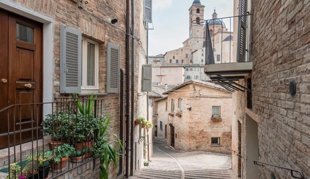 GuestHost - Cozy studio of 35 sqm located on the ground floor of a historic building of 1500 (a step to access), perfect for 1 person.The accommodation is located in the center (ZTL) in the heart of the historic city of Urbino. The accommodation enjoys a