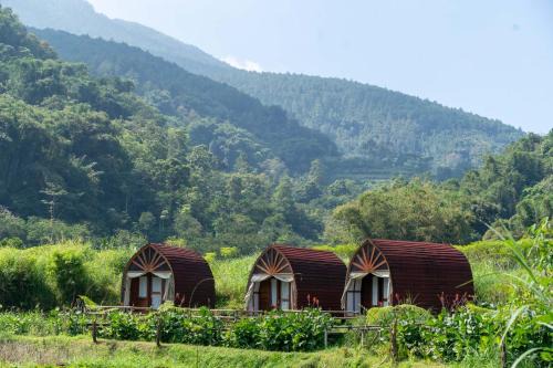 Healing Village