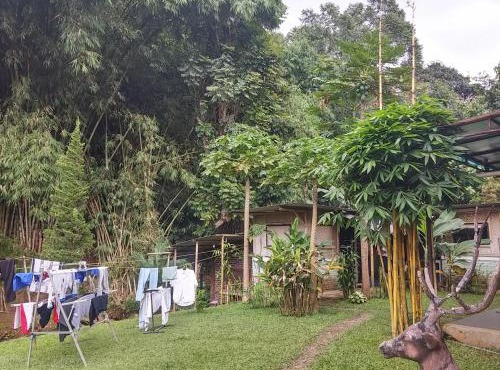 Homestay Triniti