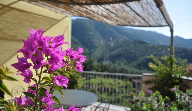 Hotel Al Terra di Mare