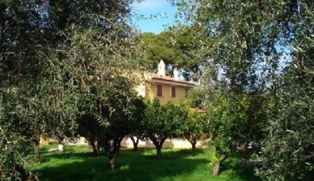 House/Villa - Rodi garganico