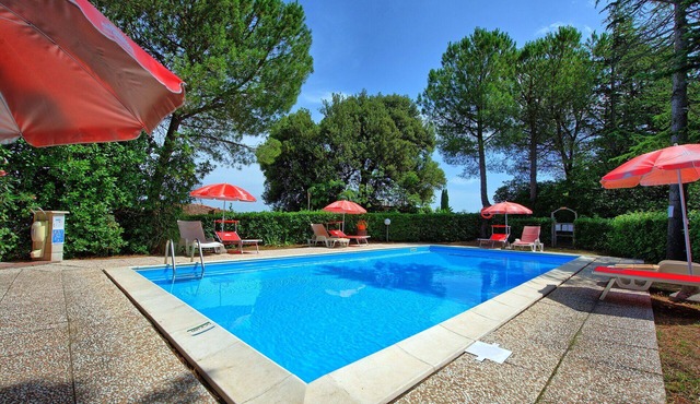 Leccino 1 - Apartment with pool