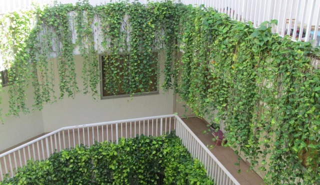 Legreen Suite Penjernihan