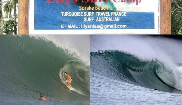Lilys surf camp