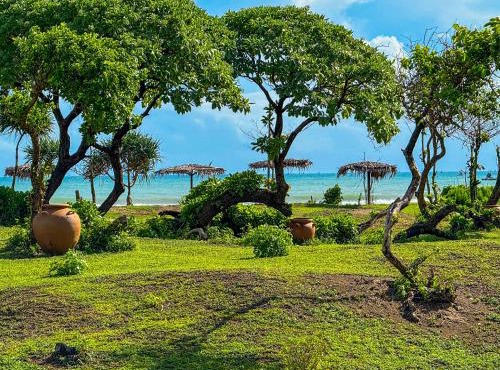 MareCoves Resort & Glamping