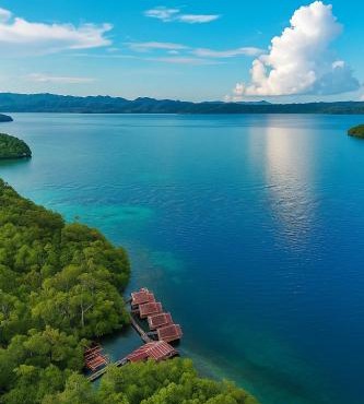 " Miguel Homestay RAJA AMPAT "