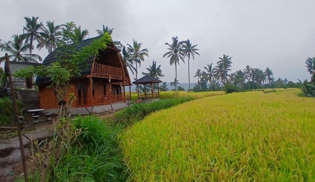 one homestay cabin