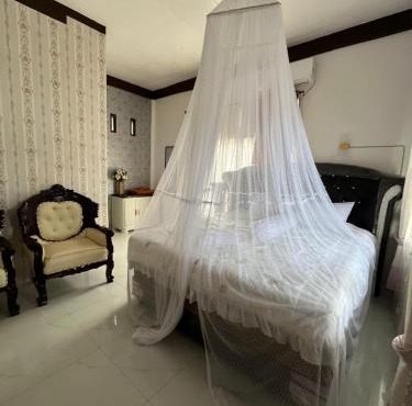 Orangutan Inn - Trekking & Transport Only Book With Us