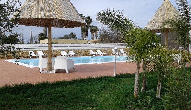 prestigious villa with swimming pool surrounded by greenery near the sea