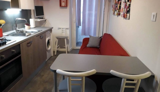 Pretty Flat Business Apartment