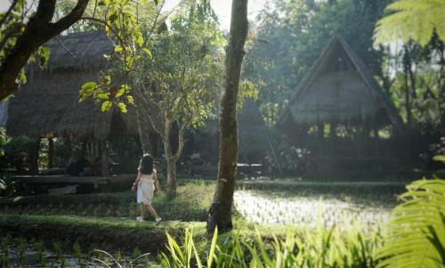 Sapulidi Cafe, Gallery & Resort