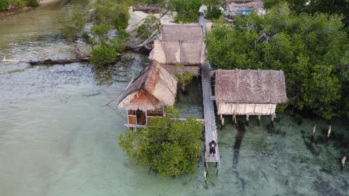 Sea Whip Homestay