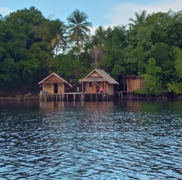 Shady Sea Homestay
