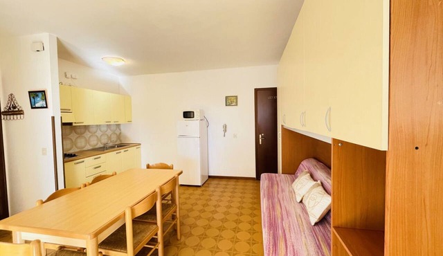 Spacious apartment with large balcony