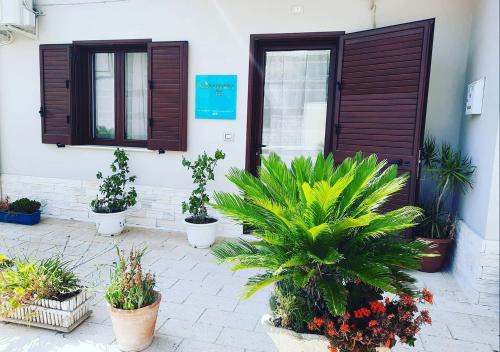 Sulfurea B&B *