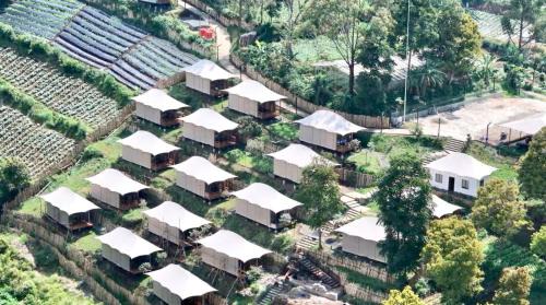 Tebing View Glamping, Azana Hotels Collection