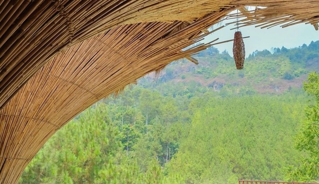 The Lodge Maribaya
