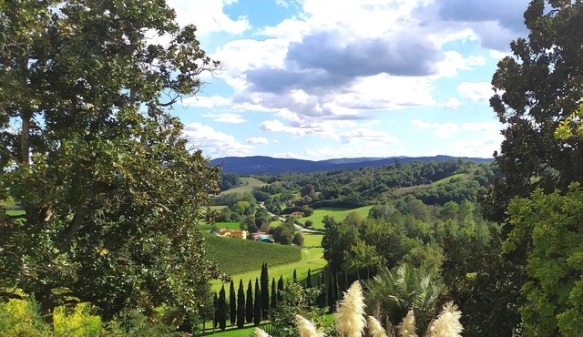 Total Tuscany 100%, great Villa in the coutryside for families and groups