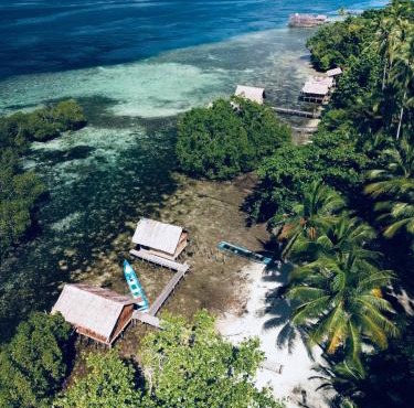 Walking Shark Guest House